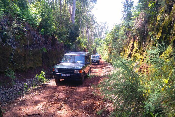 Madeira Safari - East of the island - Santana Stop With Admission Time (and Why It Matters)