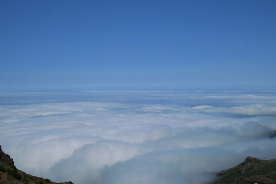 Madeira : Santana & Peaks full day tour by Open 4x4 - What the Price Covers (and Why $81 Can Make Sense)