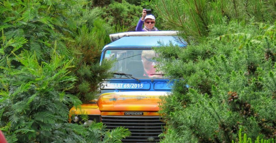 Madeira : Santo de Serra Local Farmers' Market half day trip - Santo da Serra on a Sunday: the farmers market that makes this tour click