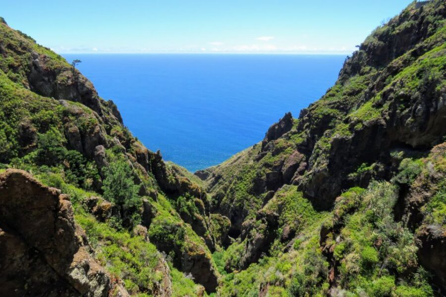 Madeira : Santo de Serra Local Farmers' Market half day trip - Price and logistics: is $49 worth it for what you get?