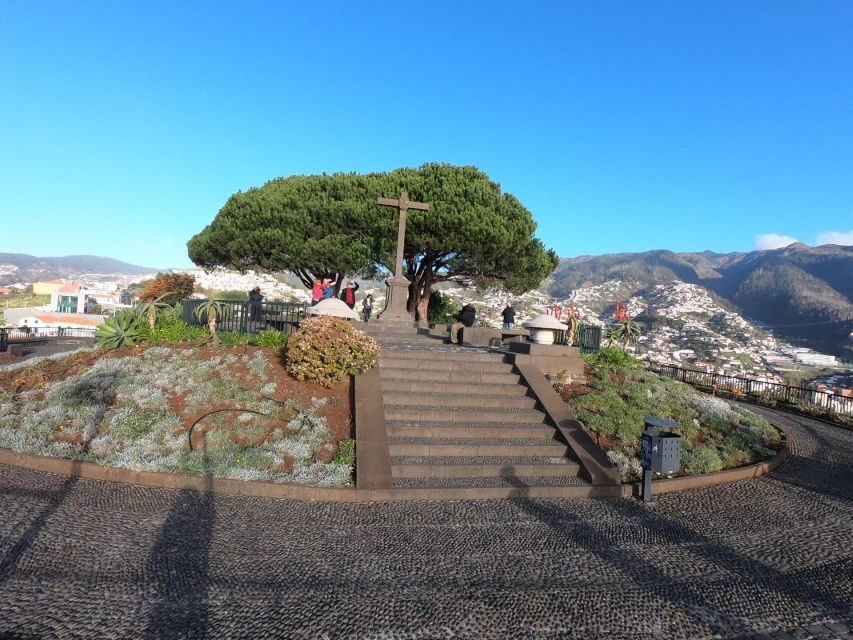 Madeira: Signature Wine Tasting, Skywalk & Nature Expedition - What’s Included for $104: Value Breakdown That Makes Sense
