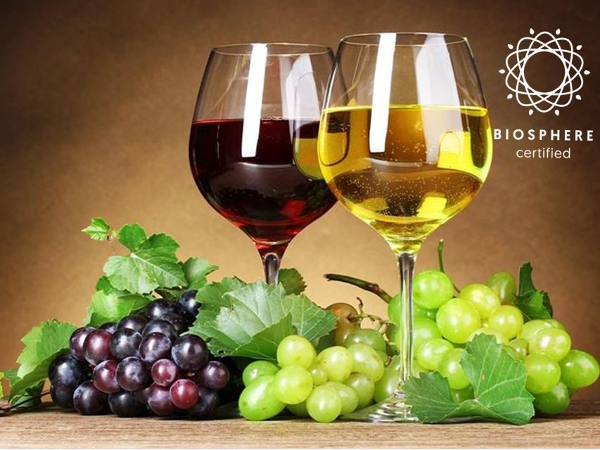 Madeira: Signature Wine Tasting, Skywalk & Nature Expedition - Quinta do Barbusano: Madeira Vineyards and Table Wine Flight