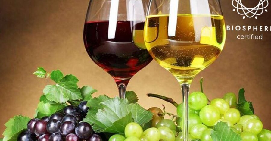 Madeira: Signature Wine Tasting, Skywalk & Nature Expedition - Getting Off Funchal: Serra d’Água and Miradouro da Encumeada
