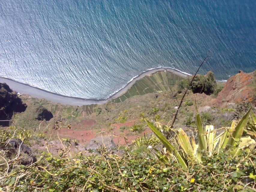 Madeira South West: Half Day Private Tour - Key things you’ll notice on this tour
