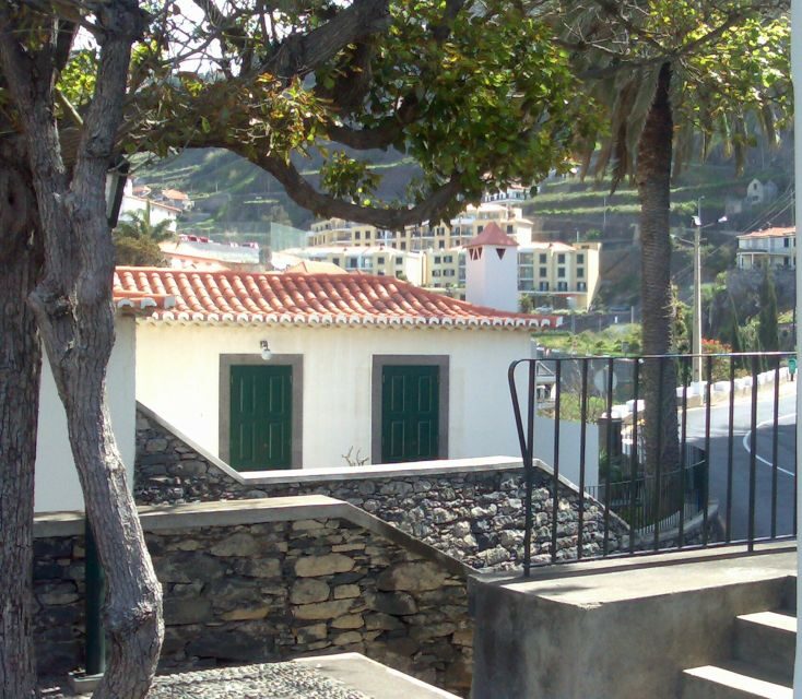 Madeira South West: Half Day Private Tour - A 4-hour private taste of western Madeira