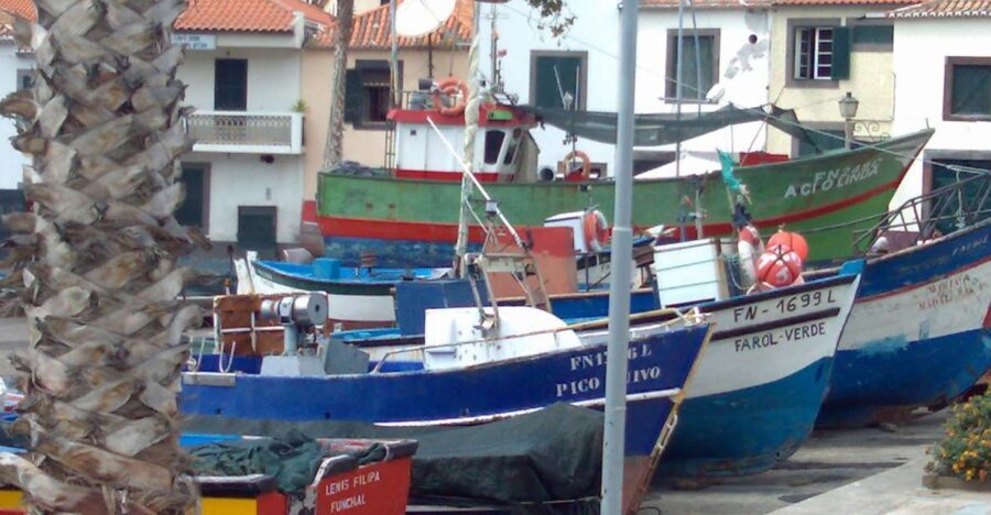 Madeira South West: Half Day Private Tour - Price and value: what $100 gets you (and what it doesn’t)