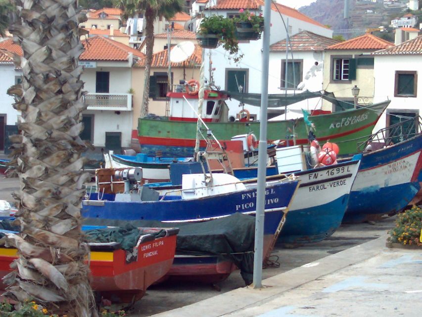 Madeira South West: Half Day Private Tour - What your guide actually brings (beyond the map)