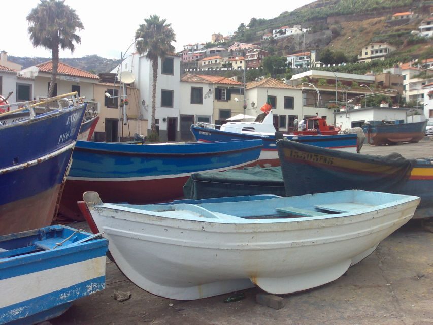 Madeira South West: Half Day Private Tour - Pickup, timing, and why the van matters here