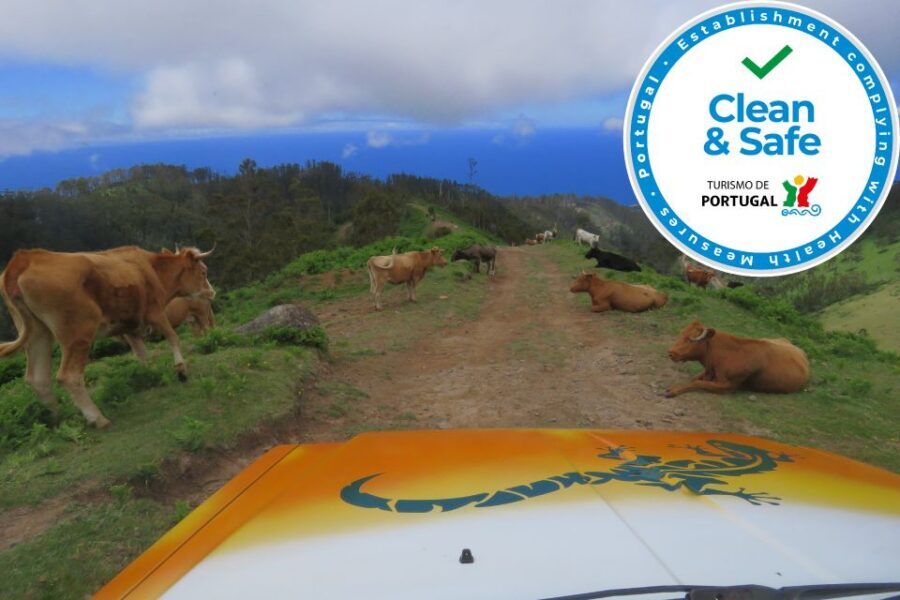 Madeira : Southwest coast, Run & Anjo´s Waterfall 4x4 Tour - Pacing, timing, and the optional lunch
