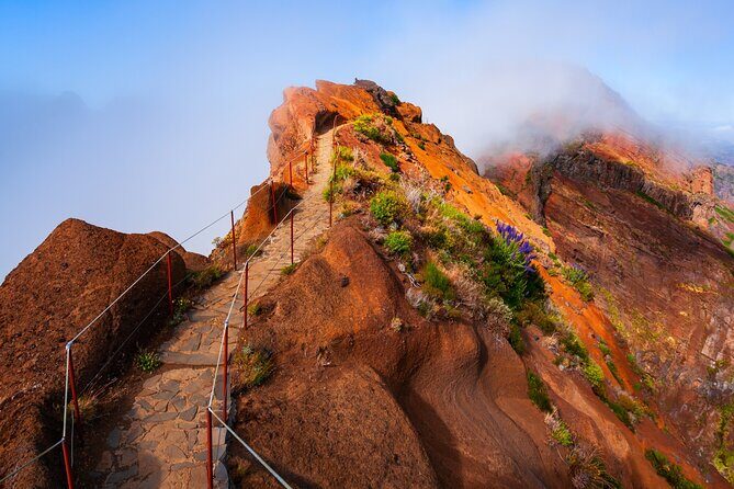 Madeira Stairway to Heaven to Larano Hike Mountain to Sea - Key highlights I’d plan around
