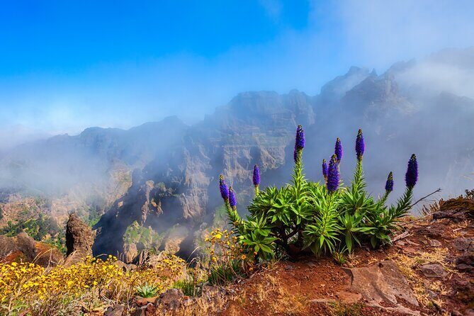 Madeira Stairway to Heaven to Larano Hike Mountain to Sea - Why this Madeira hiking day works (even if you only have 1 shot)