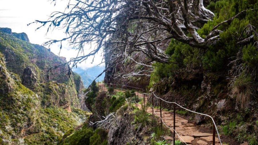 Madeira Stairway to Heaven to Larano Hike Mountain to Sea - Richard and Katrin’s guiding style: small group, good rhythm, real help