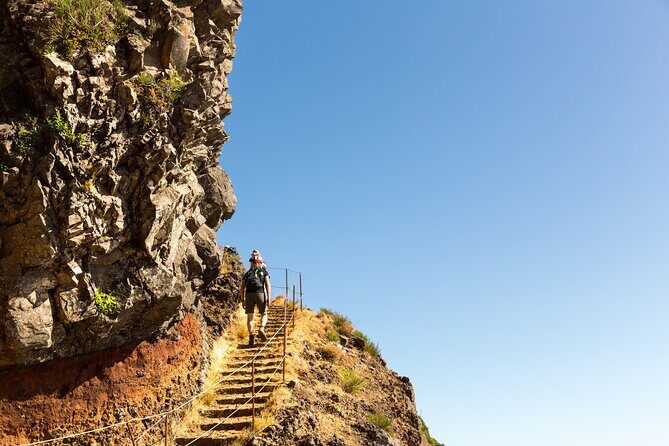 Madeira Stairway to Heaven to Larano Hike Mountain to Sea - Wheat coffee, bica or garoto, and a picnic box that actually helps