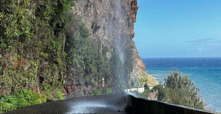 Madeira: Sunny South Side - Cabo Girão, Waterfalls, C. Lobos - Key highlights you’ll feel from the start