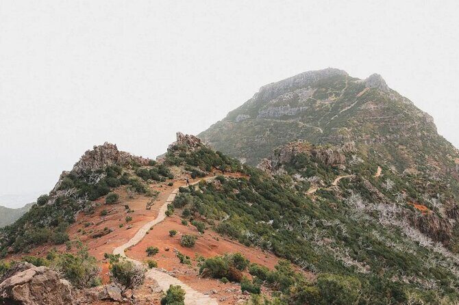 Madeira: Sunrise at Pico do Arieiro & Hike Larano trail - Getting picked up in Funchal: the timing that matters