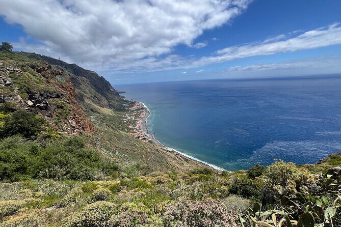 Madeira surprise tour - Stop 2: Fanal’s ancient trees stop with a 2-hour slow pace