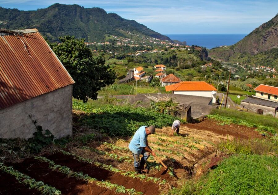 Madeira: The Best of South Jeep Tour - Paul do Mar: lunch time, then the seaside esplanade stroll