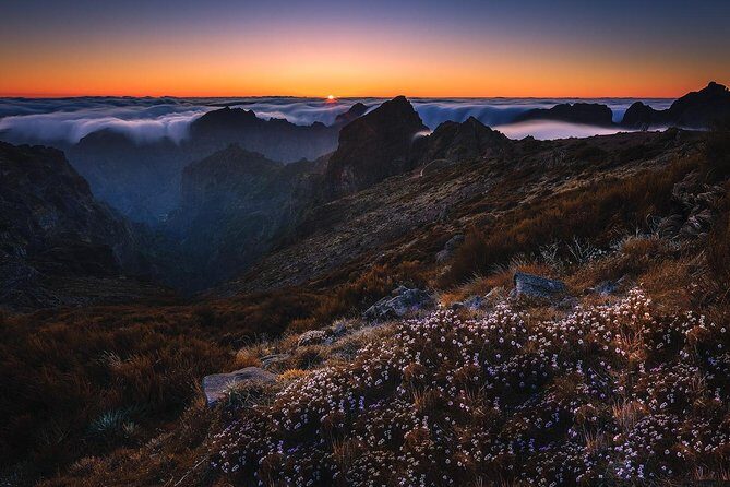 Madeira Top Sunrise - Price and value: what $66.54 buys you (and what it doesn’t)