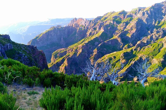 Madeira Top Sunrise - Reaching the top: the sunrise payoff at Pico Ruivo