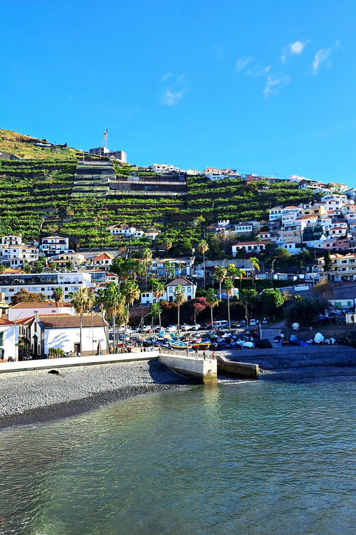 Madeira : Trike Guided Tour of the Island - Who should book this Madeira trike tour