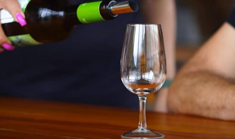 Madeira - Vineyard Tour Wine Tasting - Included - What makes it feel worth $85