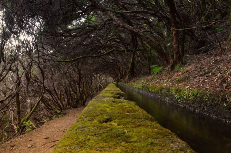 Madeira Walks - Rabaçal and the 25 Fountains - Key things that make this tour worth your time