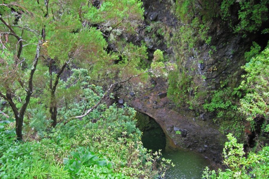 Madeira Walks - Rabaçal and the 25 Fountains - Should you book Madeira Walks: Rabaçal and the 25 Fountains?