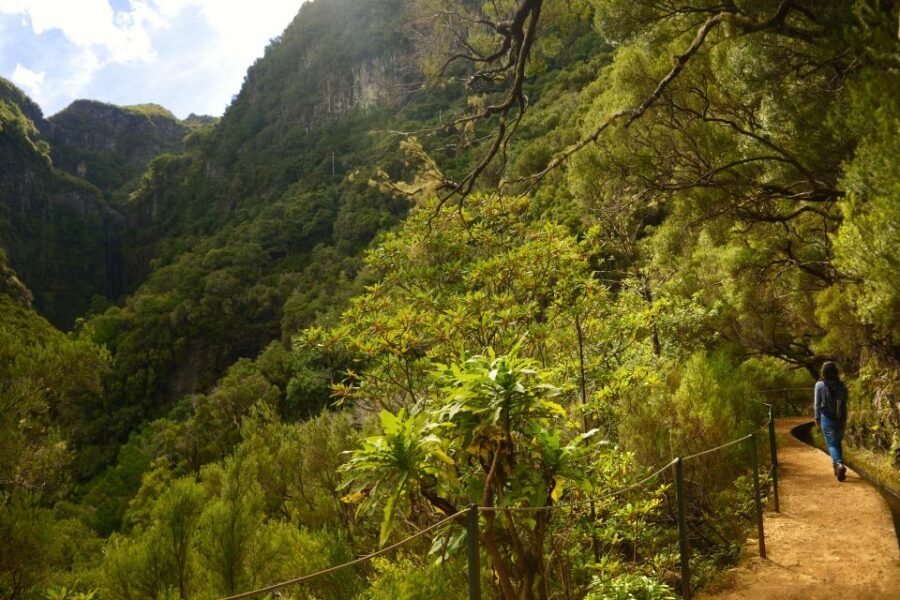 Madeira Walks - Rabaçal and the 25 Fountains - What you’ll actually do on the hike: springs, lakes, and the famous water stops