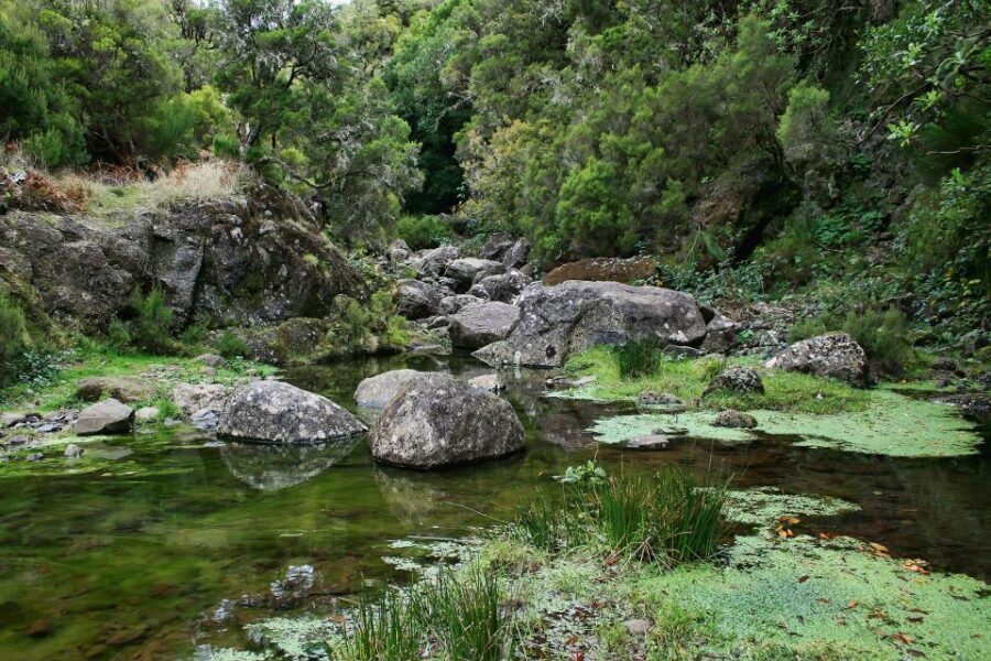 Madeira Walks - Rabaçal and the 25 Fountains - Your guide matters: certified mountain guidance, English support, and real safety decisions