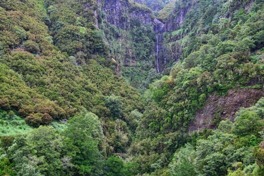 Madeira Walks - Rabaçal and the 25 Fountains - Rain, steps, and tunnel-light reality: how to pack for Madeira weather
