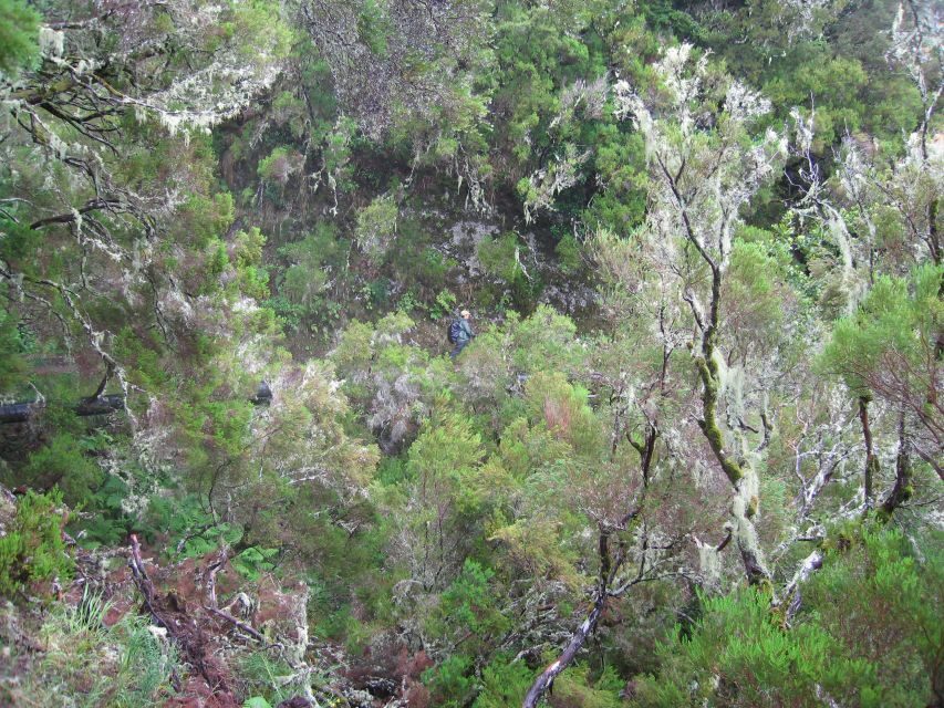 Madeira Walks - Rabaçal and the 25 Fountains - Food and breaks: café stops, cash for lunch, and keeping energy steady