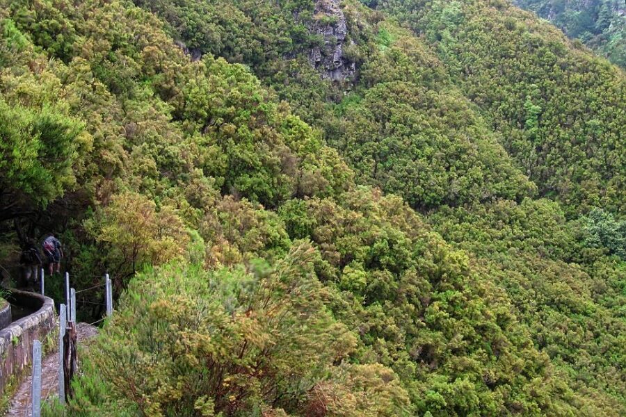 Madeira Walks - Rabaçal and the 25 Fountains - Who should book this hike—and who should skip it