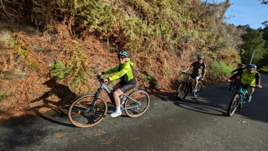Madeira West coast: Guided Sightseeing E-Bike Tour - Price: Is $76 Worth It?