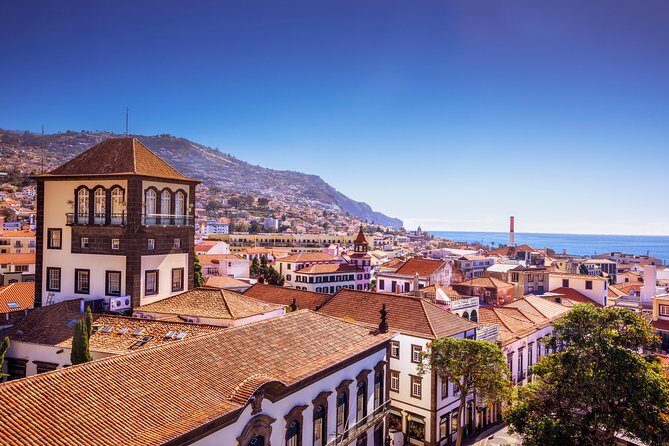 Madeira West Island Full Day Small-Group Tour from Funchal - Price and value: what $156.38 really buys you