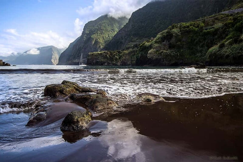 Madeira West Island Full-Day Tour with Fanal Forest - Pickup timing that actually matters (and how to not miss it)
