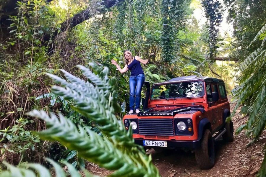Madeira: West Side Jeep Tour with Natural Pools - Ponta do Sol and the Sea-Level Breaks That Reset Your Day