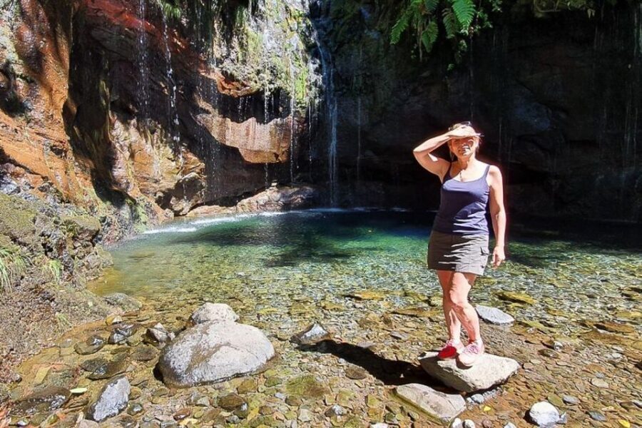 Madeira: West Side Jeep Tour with Natural Pools - Pickup in Funchal: Timing, Small Group Energy, and What That Means