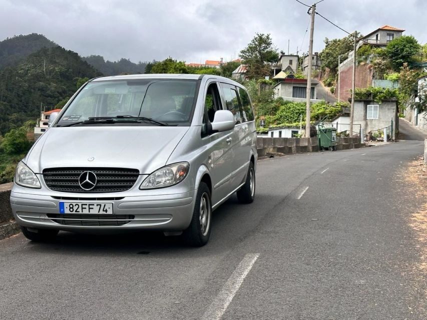 Madeira: Western Madeira Guided Trip & Fanal Mystic Forest - Porto Moniz Natural Swimming Pools: lunch plus real swim time