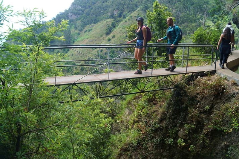 Madeira: Wet your hair in the amazing Levada Nova / Moinhos - The levada trail itself: what you’ll see along the water channels