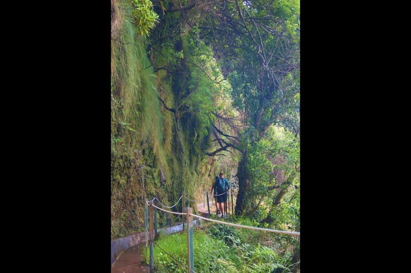 Madeira: Wet your hair in the amazing Levada Nova / Moinhos - The waterfall you came for: yes, you can get your hair wet