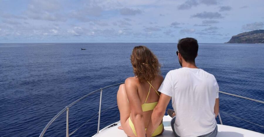 Madeira: Whale and Dolphin Watching Private Cruise - Key points before you go