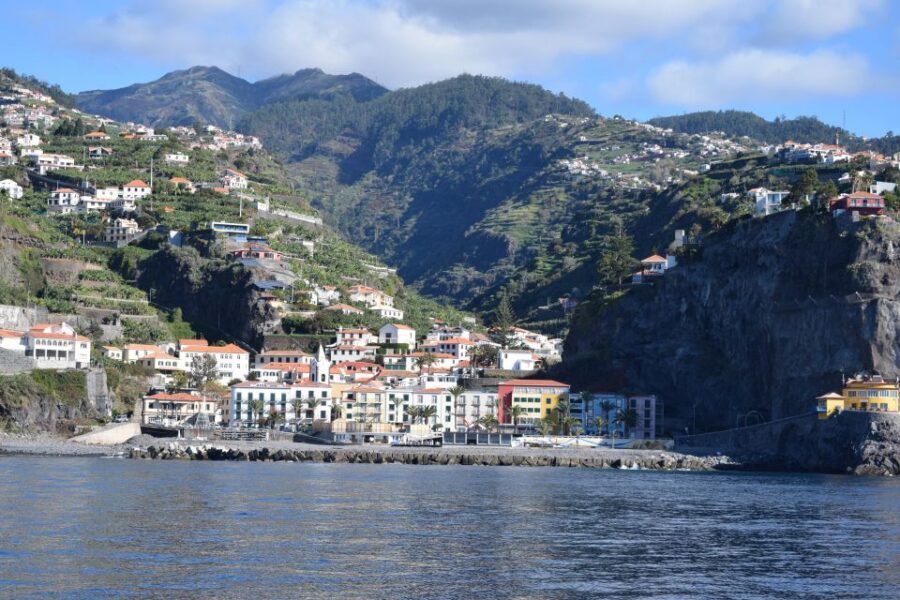Madeira: Whale and Dolphin Watching Private Cruise - Should you book this Madeira whale and dolphin cruise?