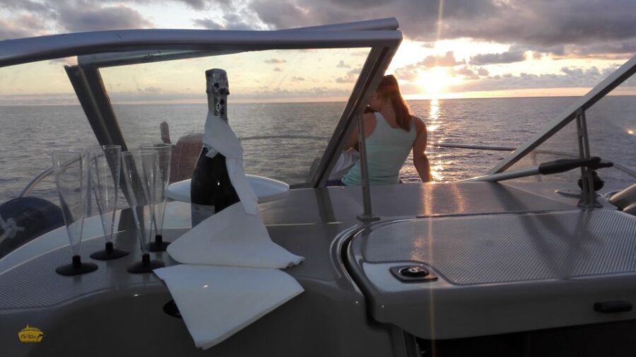 Madeira: Whale and Dolphin Watching Private Cruise - Whales and dolphins spotting: how to make it work in real life