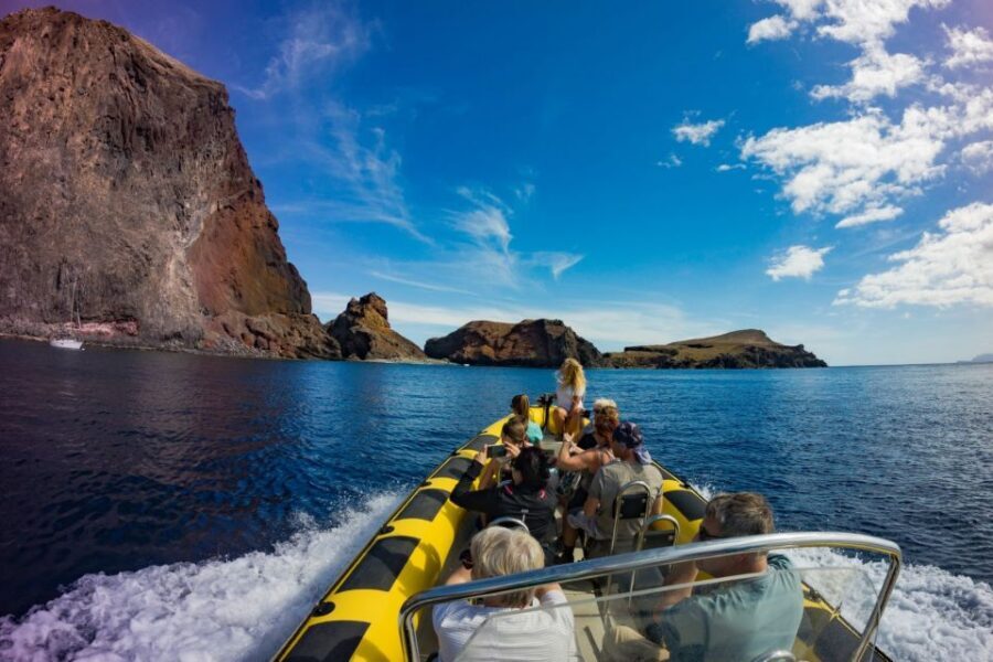 Madeira: Whale and Dolphin Watching Tour - Key highlights at a glance