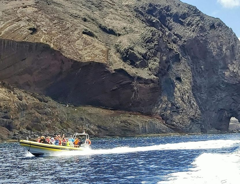 Madeira: Whale and Dolphin Watching Tour - The short 2-hour itinerary: why the timing works