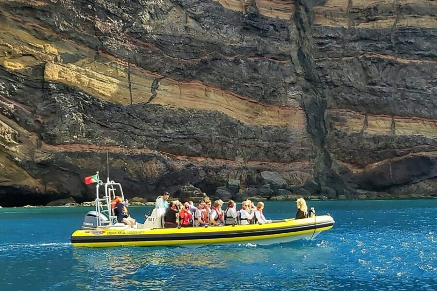 Madeira: Whale and Dolphin Watching Tour - Price and value: is $70 fair for a 2-hour marine search?