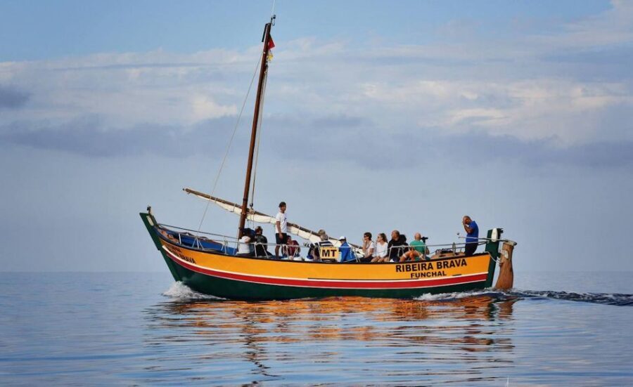 Madeira: Whale Watching Excursion in a Traditional Vessel - The coastline from sea level: Madeira looks different when you’re moving