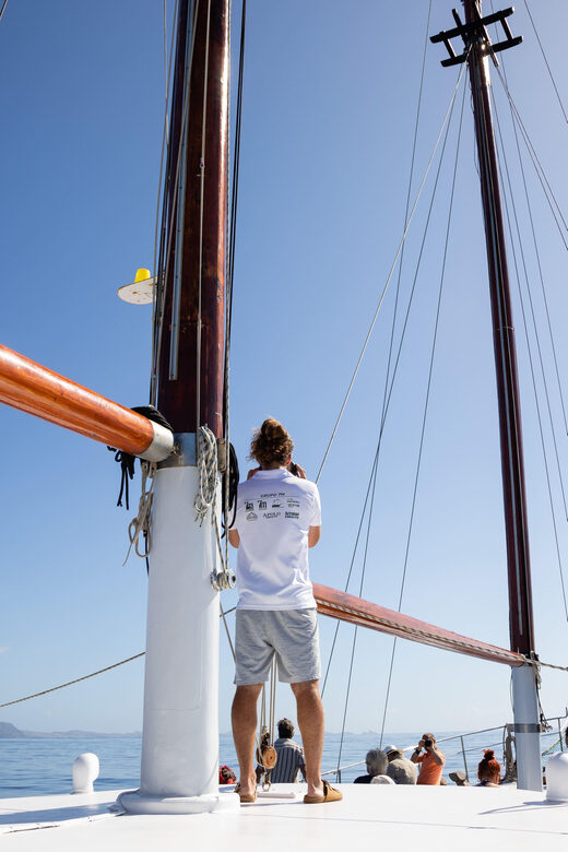 Madeira : Whales and Dolphins wooden boat excursion - What I liked most: crew energy and real wildlife time