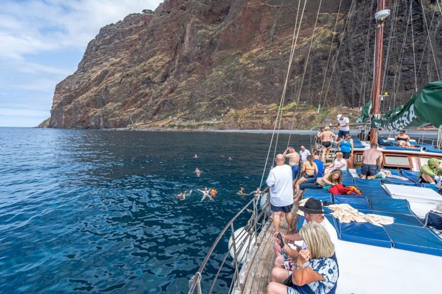 Madeira : Whales and Dolphins wooden boat excursion - The “watch first” reality check