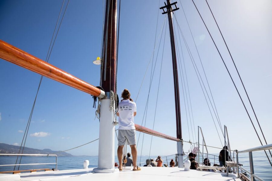 Madeira : Whales and Dolphins wooden boat excursion - The wooden boat experience: comfort and practical details